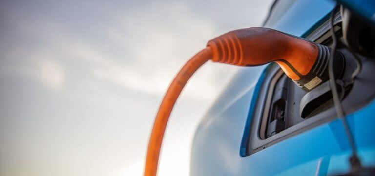 Verdissement flottes